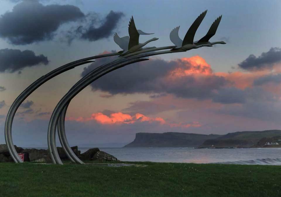 The Rose Garden Room - Self Contained Studio Ballycastle Esterno foto